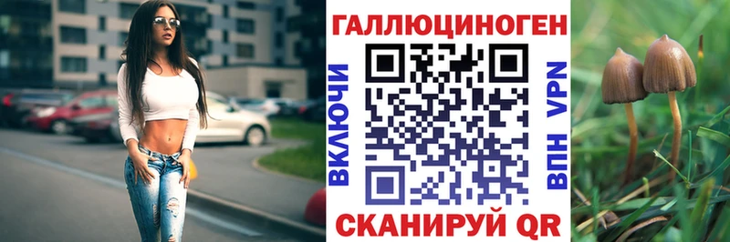 Галлюциногенные грибы Psilocybe Петропавловск-Камчатский