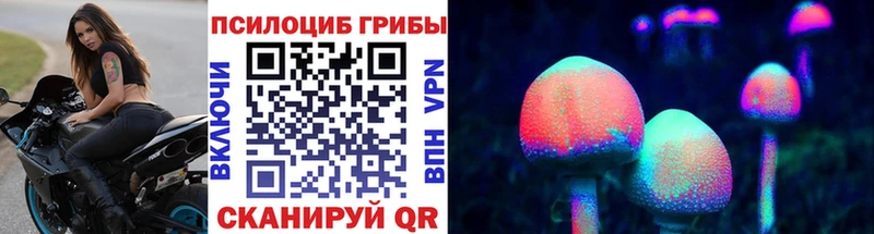 МЕГА зеркало Петропавловск-Камчатский Псилоцибиновые грибы Cubensis