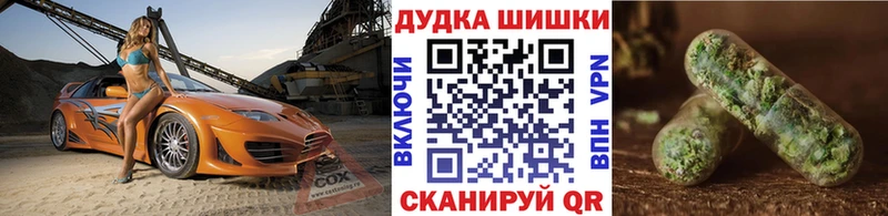 закладка  Петропавловск-Камчатский  Канабис тримм 